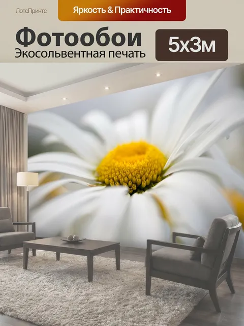 500 × 300 см · Экосольвентная печать