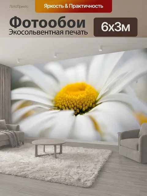 600 × 300 см · Экосольвентная печать
