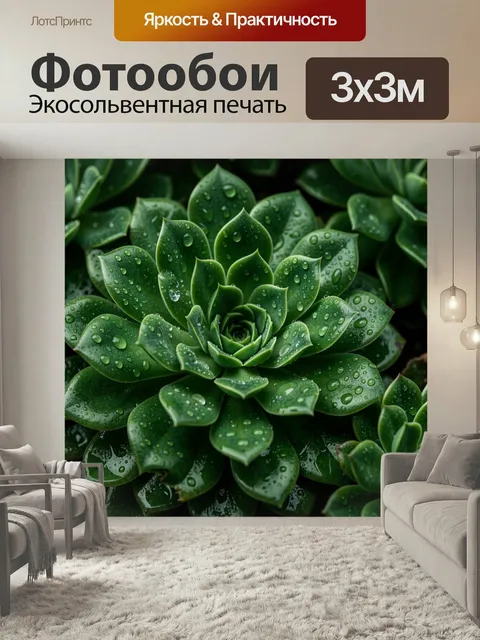 Фотообои Зелёный суккулент с каплями росы