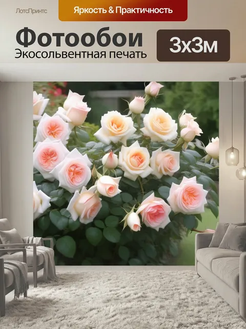 Фотообои Белая в саду роза цветы