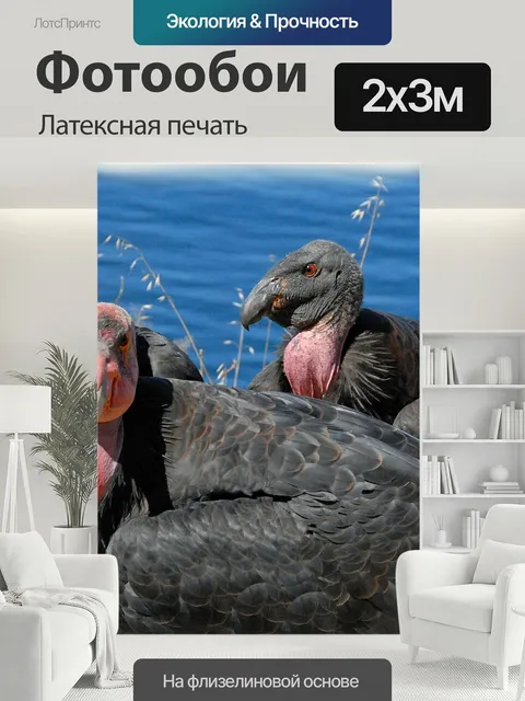 200 × 300 см · Латексная печать