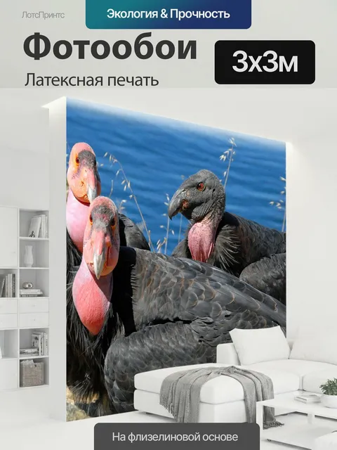300 × 300 см · Латексная печать