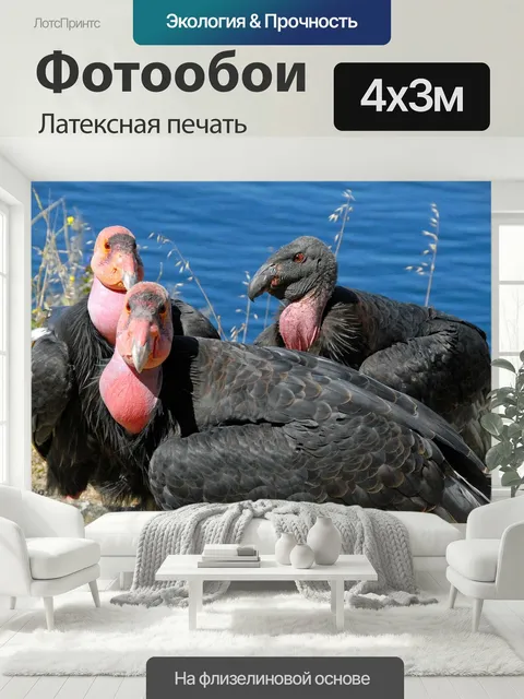 400 × 300 см · Латексная печать