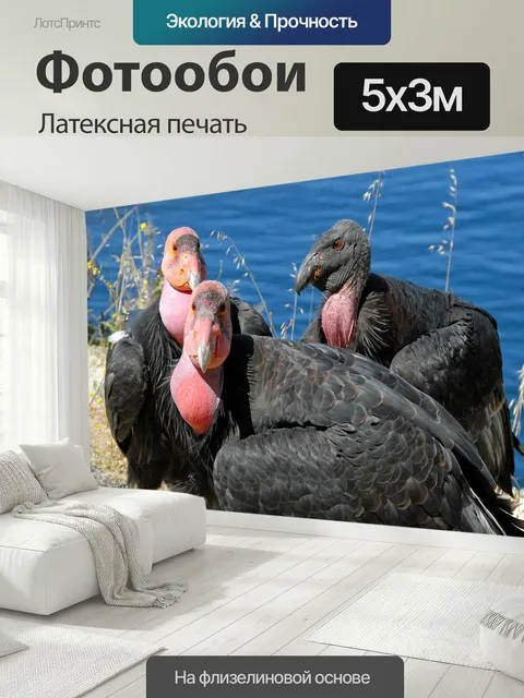 500 × 300 см · Латексная печать