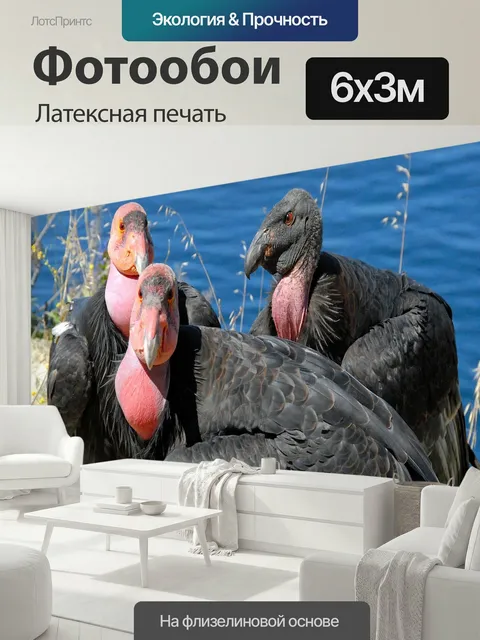 600 × 300 см · Латексная печать