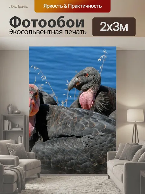 200 × 300 см · Экосольвентная печать
