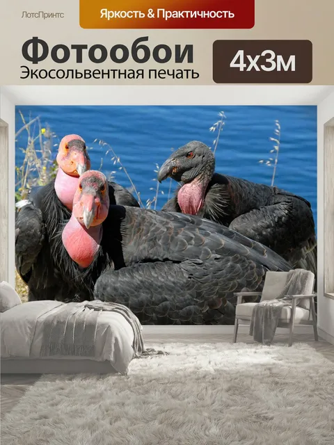 400 × 300 см · Экосольвентная печать