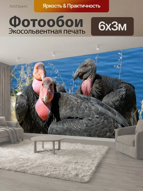 600 × 300 см · Экосольвентная печать