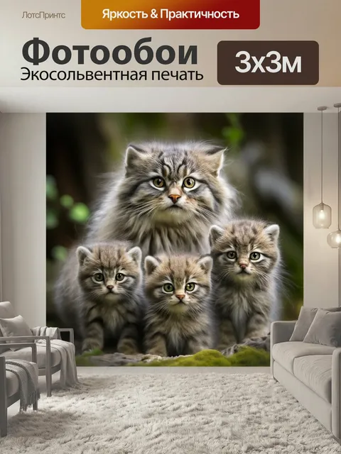 Фотообои Дикий кот Манул и котята Дикий, семейство Кот, кошка, котята