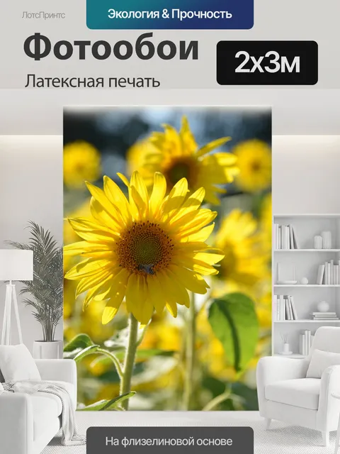 200 × 300 см · Латексная печать