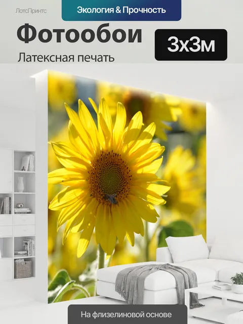 300 × 300 см · Латексная печать