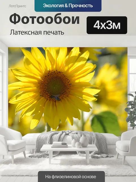 400 × 300 см · Латексная печать
