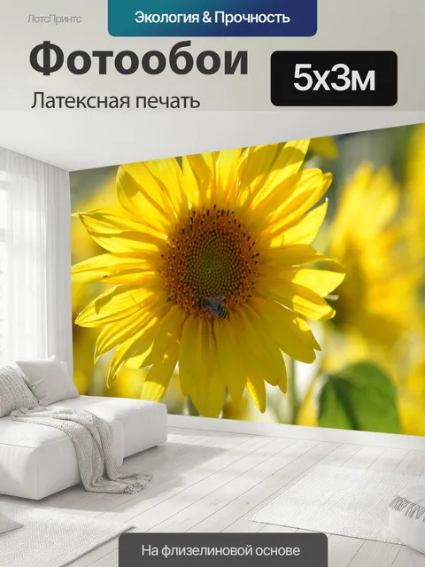 500 × 300 см · Латексная печать