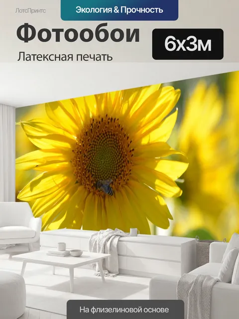600 × 300 см · Латексная печать