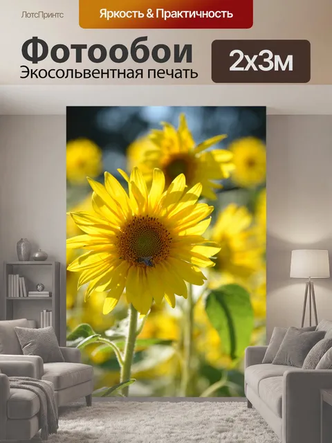 200 × 300 см · Экосольвентная печать