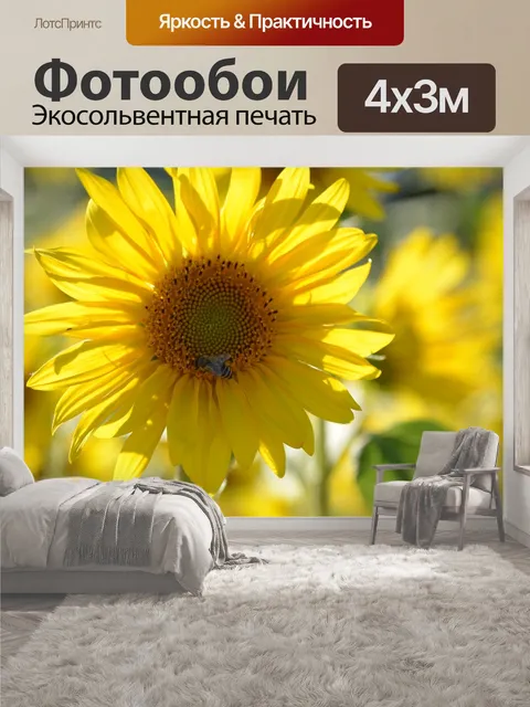 400 × 300 см · Экосольвентная печать