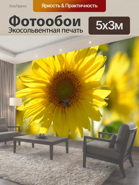 500 × 300 см · Экосольвентная печать