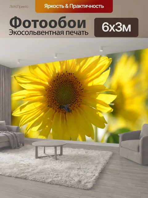 600 × 300 см · Экосольвентная печать