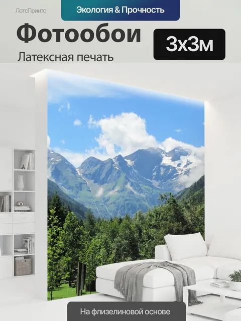 300 × 300 см · Латексная печать