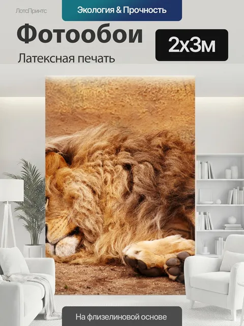 200 × 300 см · Латексная печать
