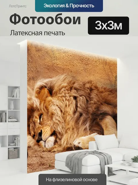 300 × 300 см · Латексная печать
