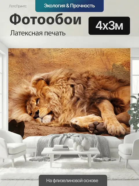 400 × 300 см · Латексная печать