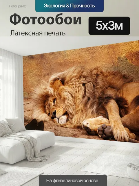 500 × 300 см · Латексная печать