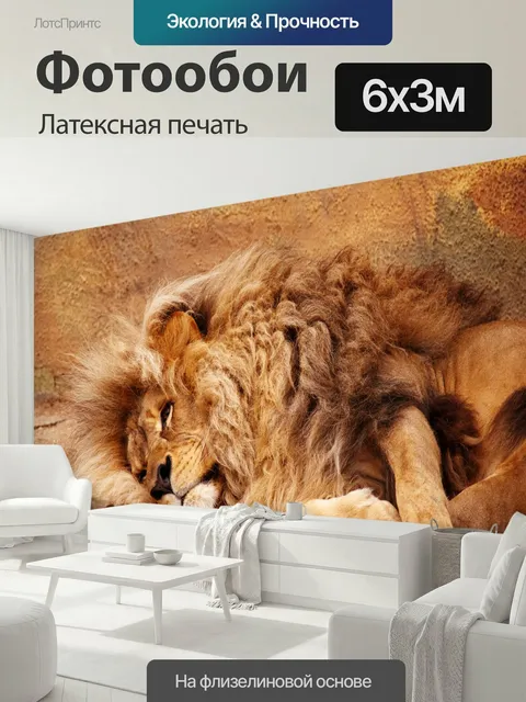 600 × 300 см · Латексная печать
