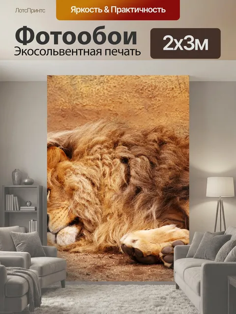 200 × 300 см · Экосольвентная печать