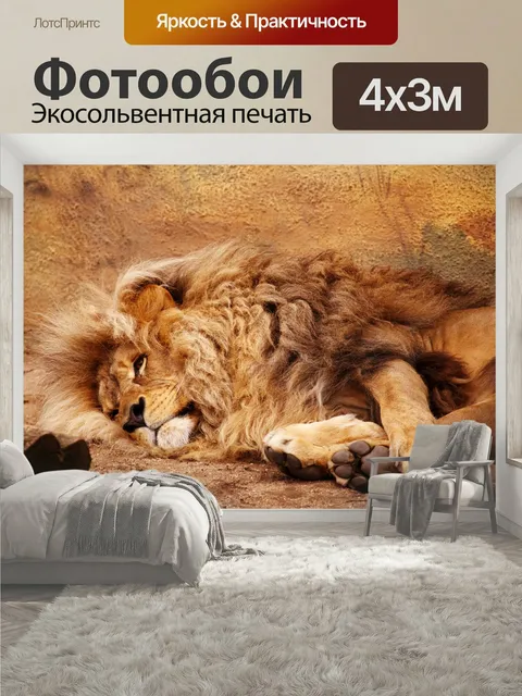 400 × 300 см · Экосольвентная печать