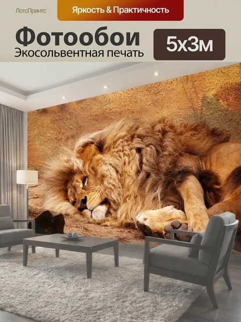 Фотообои Лежащего льва большой лев на полу африканского животных