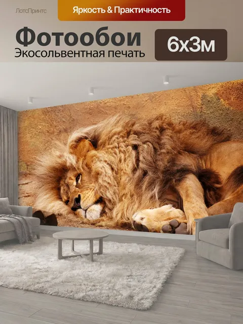600 × 300 см · Экосольвентная печать