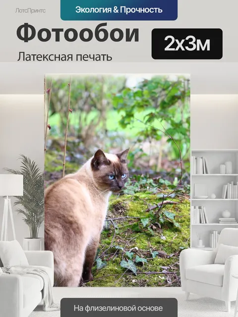200 × 300 см · Латексная печать