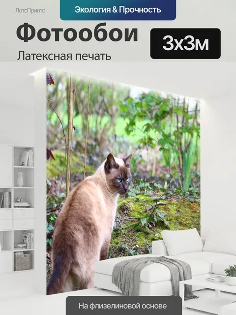 300 × 300 см · Латексная печать