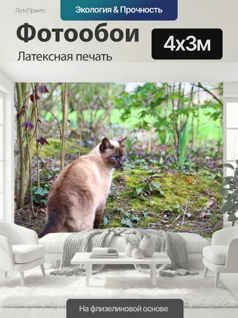 400 × 300 см · Латексная печать