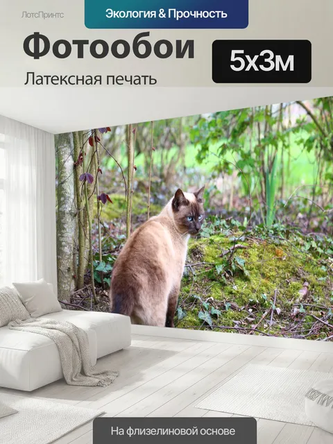500 × 300 см · Латексная печать