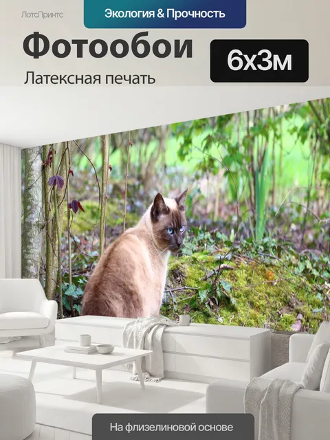 600 × 300 см · Латексная печать