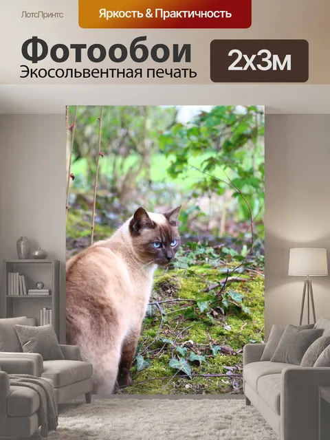 200 × 300 см · Экосольвентная печать
