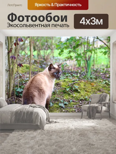 400 × 300 см · Экосольвентная печать