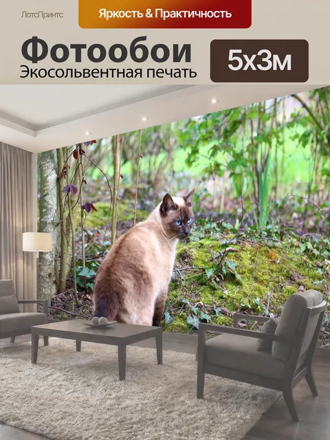 500 × 300 см · Экосольвентная печать