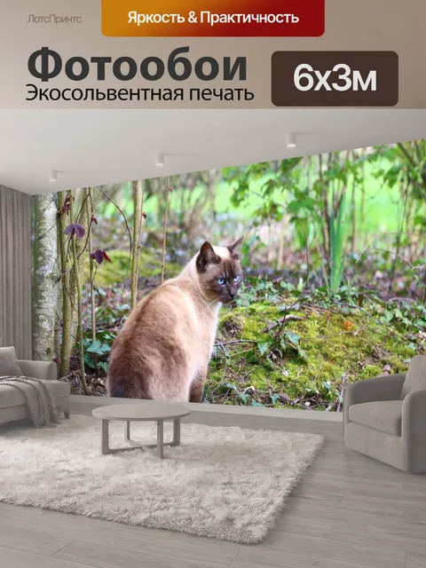 600 × 300 см · Экосольвентная печать