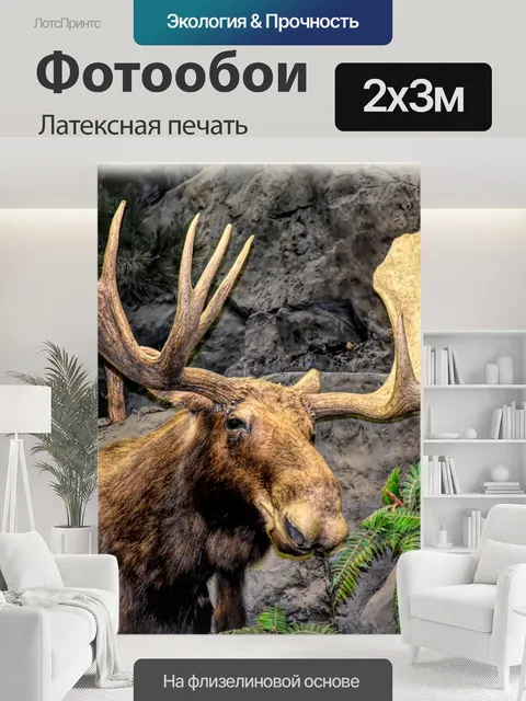 200 × 300 см · Латексная печать