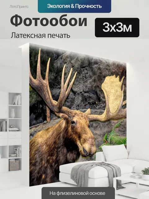 300 × 300 см · Латексная печать