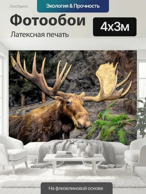 400 × 300 см · Латексная печать