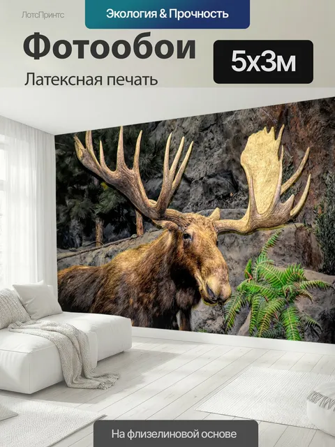 500 × 300 см · Латексная печать