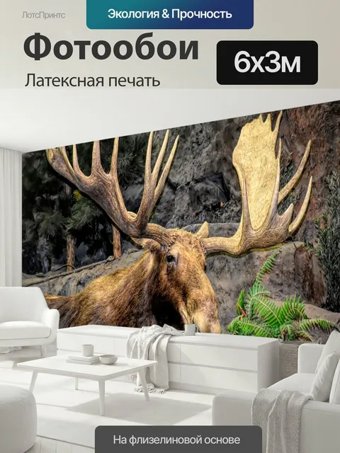 600 × 300 см · Латексная печать