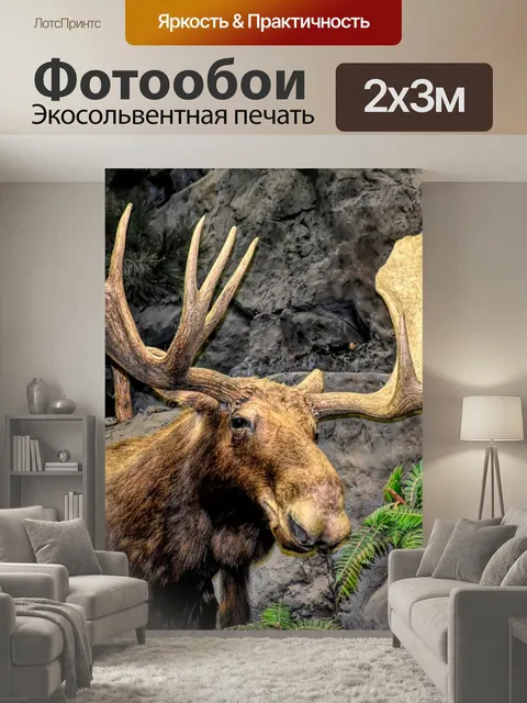200 × 300 см · Экосольвентная печать
