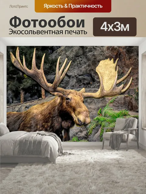 400 × 300 см · Экосольвентная печать