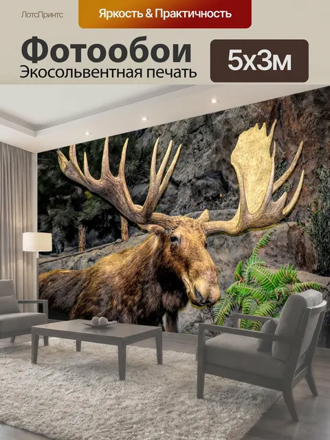 500 × 300 см · Экосольвентная печать