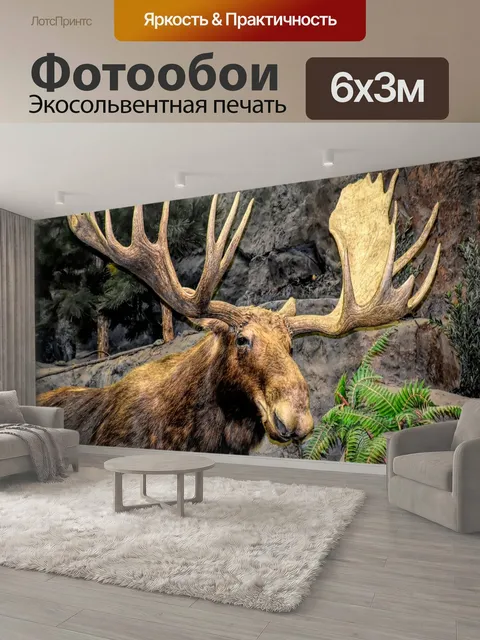 600 × 300 см · Экосольвентная печать